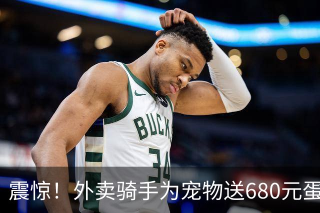 震惊！外卖骑手为宠物送680元蛋糕，背后揭示的高低阶层对比